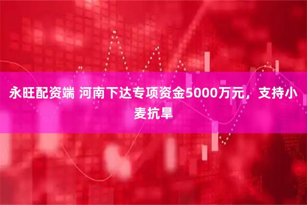 永旺配资端 河南下达专项资金5000万元，支持小麦抗旱