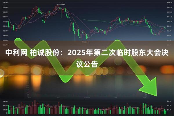 中利网 柏诚股份：2025年第二次临时股东大会决议公告