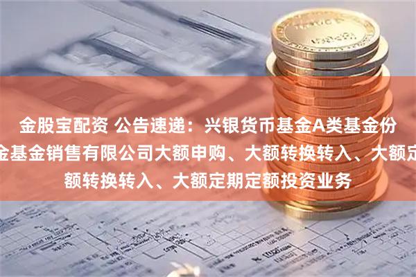 金股宝配资 公告速递:兴银货币基金A类基金份额调整在大连网金基金销售有限公司大额申购、大额转换转入、大额定期定额投资业务