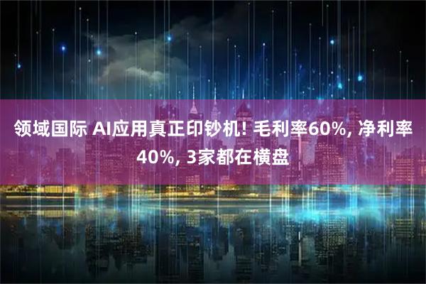 领域国际 AI应用真正印钞机! 毛利率60%, 净利率40%, 3家都在横盘