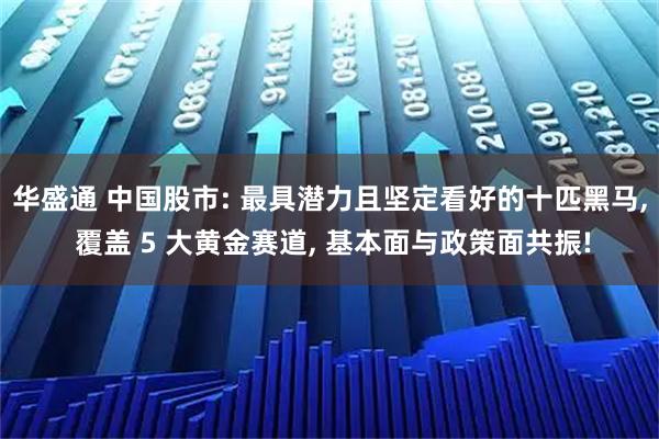 华盛通 中国股市: 最具潜力且坚定看好的十匹黑马, 覆盖 5 大黄金赛道, 基本面与政策面共振!