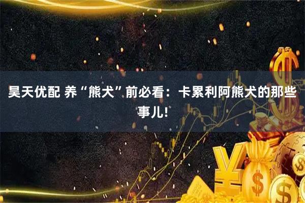 昊天优配 养“熊犬”前必看：卡累利阿熊犬的那些事儿!