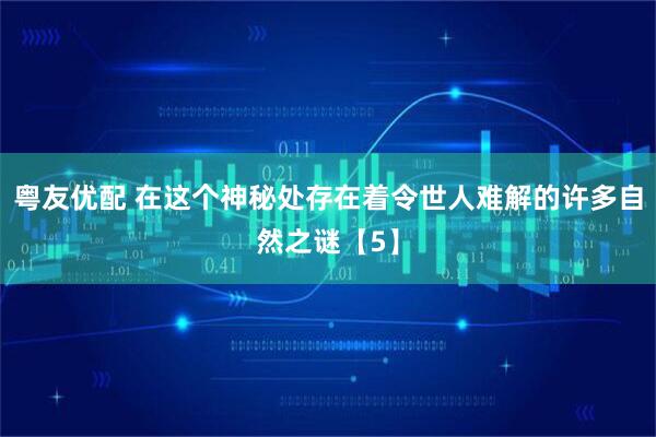 粤友优配 在这个神秘处存在着令世人难解的许多自然之谜【5】